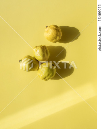 Four quince fruits on yellow background. Golden Four quince fruits on yellow background. Golden 58466053