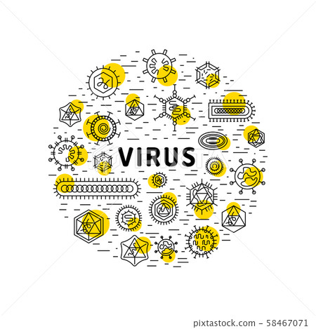 cells of viruses and bacteria 58467071