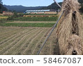 Rice bundle drying 201902 58467087