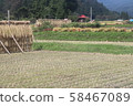 Rice bundle drying 201903 58467089