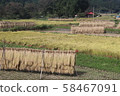 Rice bundle drying 201905 58467091