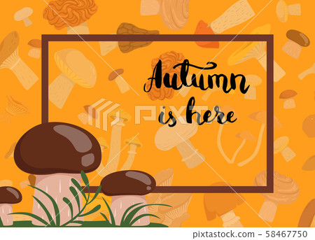 Vector edible mushrooms in grass background 58467750