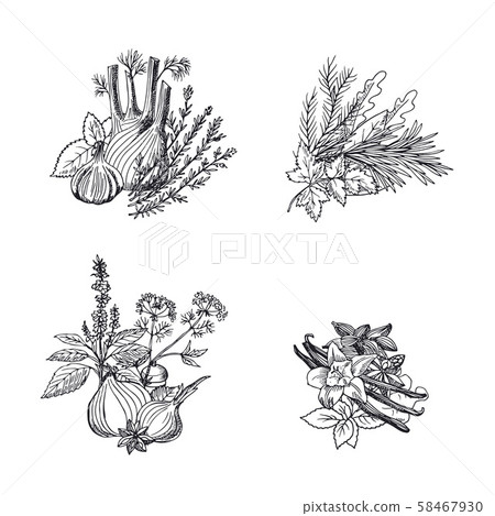 Vector hand drawn herbs and spices piles set... - Stock Illustration ...