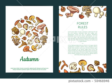 Vector hand drawn mushrooms card, flyer or brochure template illustration Vector hand drawn mushrooms card, flyer or brochure template illustration 58468946