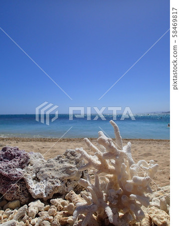 海灘圖像 58469817