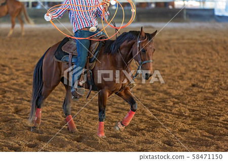 Calf Roping At An Outback Rodeo Calf Roping At An Outback Rodeo 58471150