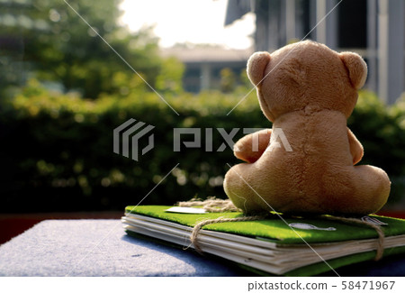 teddy bear notebook on green back ground . teddy bear notebook on green back ground . 58471967