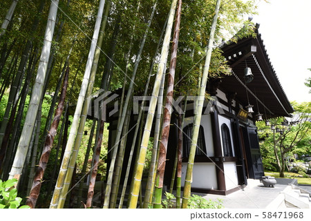 Hase Temple 58471968