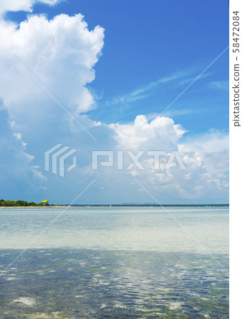 Beach in the Philippines 58472084