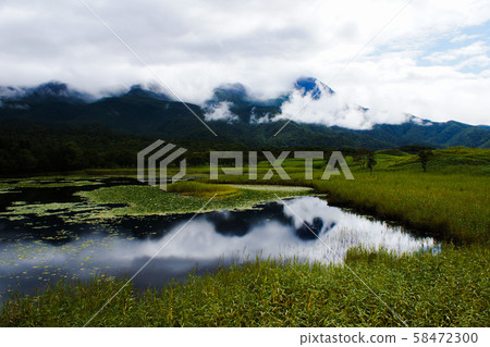 知床半島風景知床五湖（1湖） 58472300