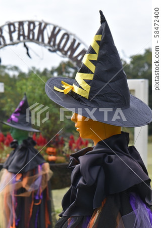 花卉公園江南花在秋天的藍天 花卉公園江南花在秋天的藍天 58472400