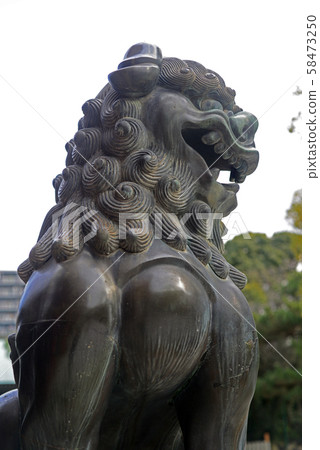 西宮神社Dog-11 58473250