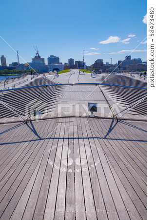 Yokohama Minato Mirai city view [Osanbashi] 58473480