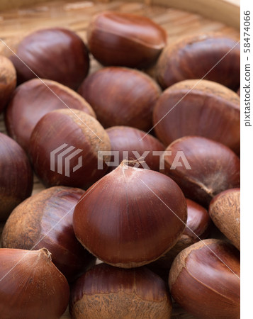 Chestnut Chestnut 58474066