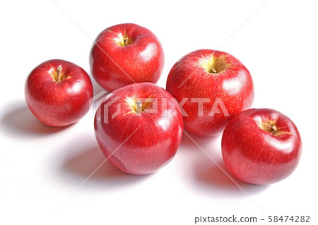 蘋果（茜） 58474282