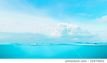 Sea the beach clear water and sky coconut trees with relaxation 58474602