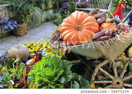 萬聖節裝飾萬聖節 58475224