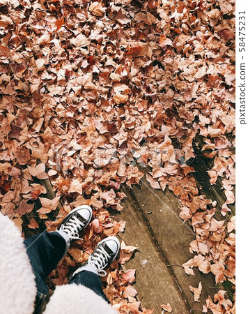 冬天落葉 58475231