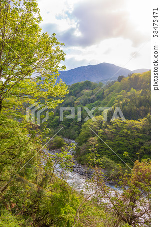 Landscape of Forest with mountain and stream in Japan 58475471