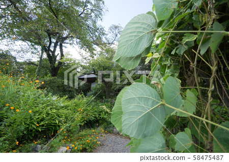 秩父長ator七草寺 58475487