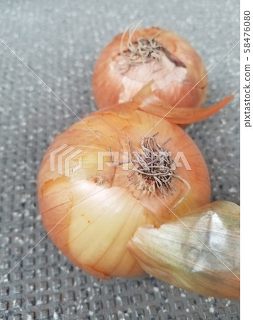 Onion Onion Onion Onion Onion Onion 58476080