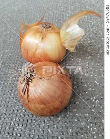 Onion Onion Onion 58476083