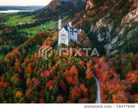 Amazing aerial view on Neuschwanstein. Bavaria, Germany. Amazing aerial view on Neuschwanstein. Bavaria, Germany. 58477699