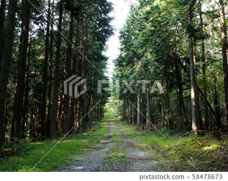 Rud and Forest Rud and Forest 58478673