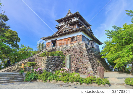[福井縣]陽光明媚的新鮮綠色丸岡城 58478864