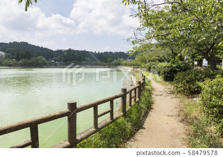 八鶴湖 58479578