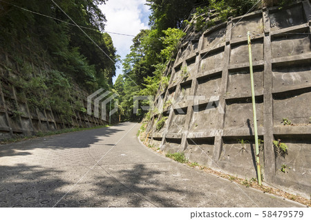 鄉村小路 鄉村小路 58479579