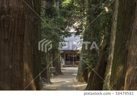 日吉神社 日吉神社 58479581