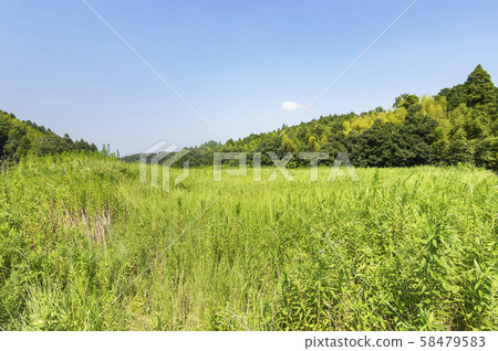 Togane nature scenery 58479583