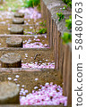 櫻桃樓梯 58480763