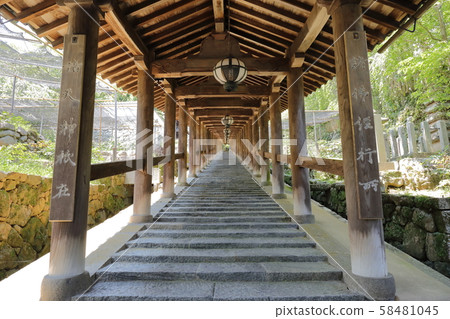 Nara Hasedera Nara Hasedera 58481045