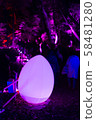 發光的雞蛋 58481280
