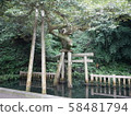 Mitarai pond of Kashima Shrine 58481794