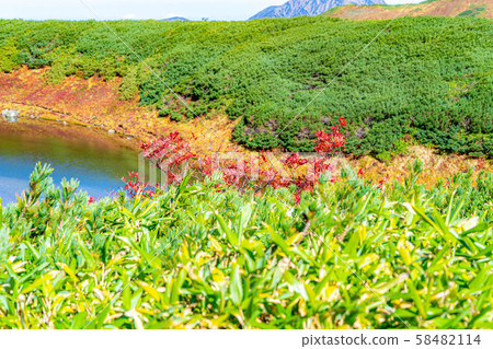Autumn Murodo, Rowan Leaves [Toyama Prefecture] 58482114