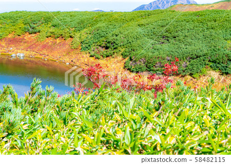 秋天的室堂，羅文葉[富山縣] 58482115