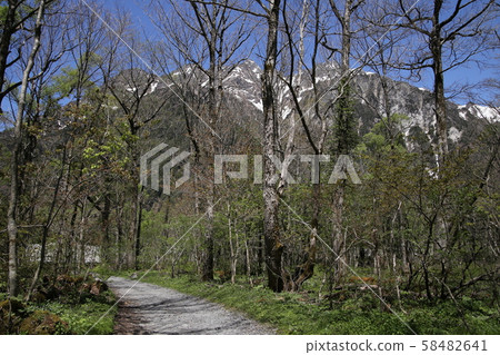 Okugami Highland Okugami Highland 58482641