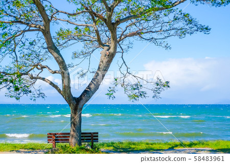 Hikone bench 58483961