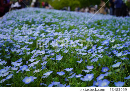 在春天公園 58483969