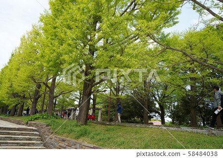 在春天公園 58484038