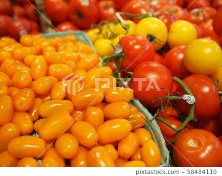  Mini Tomato 58484110