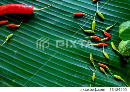 Banana leaf background green colour Banana leaf background green colour 58484393