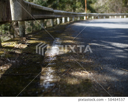 A shoulder on a forest road that has been mossed over time 58484537