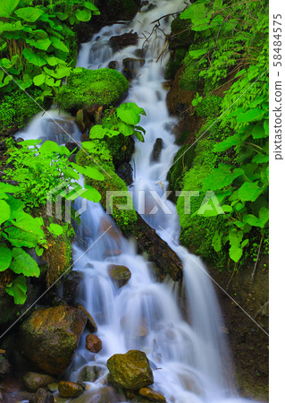 Toryu Falls, Yatsugatake Toryu Falls, Yatsugatake 58484575