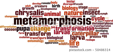 Metamorphosis word cloud Metamorphosis word cloud 58486314