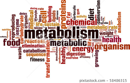 Metabolism word cloud Metabolism word cloud 58486315