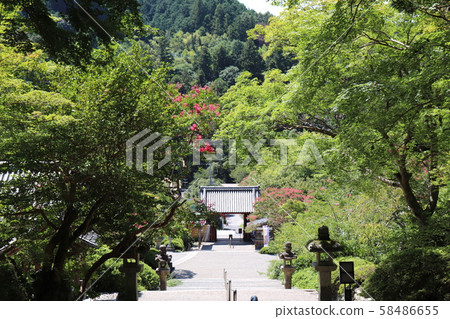 Koyasan Shingon sect ruins Motoyama Mt. 58486655